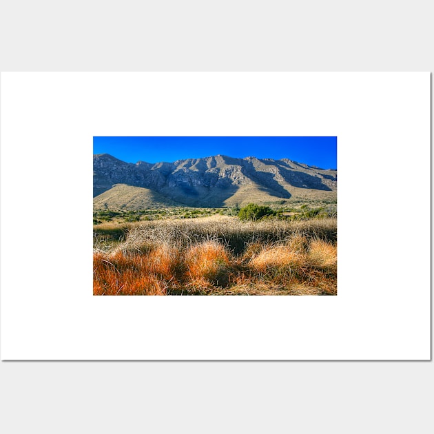 Guadalupe Mountains National Park2 Wall Art by StonePics